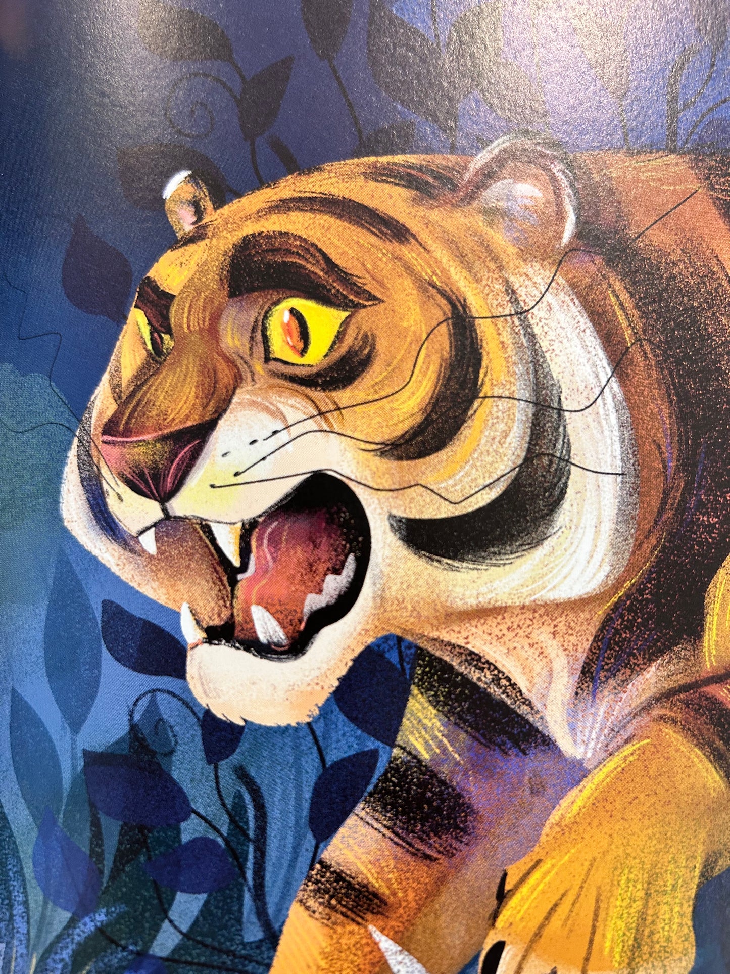 Het Jungle Boek