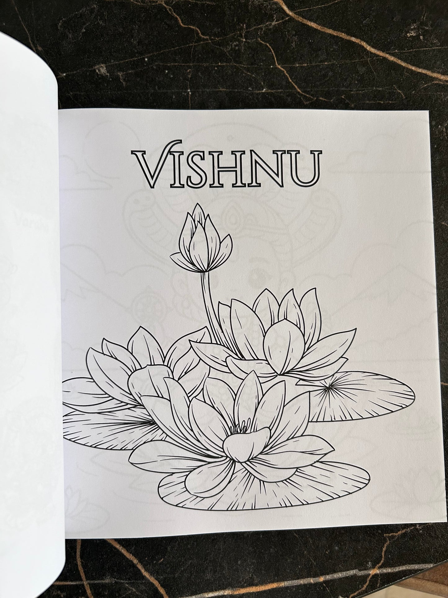 Dashavataram kleurboek