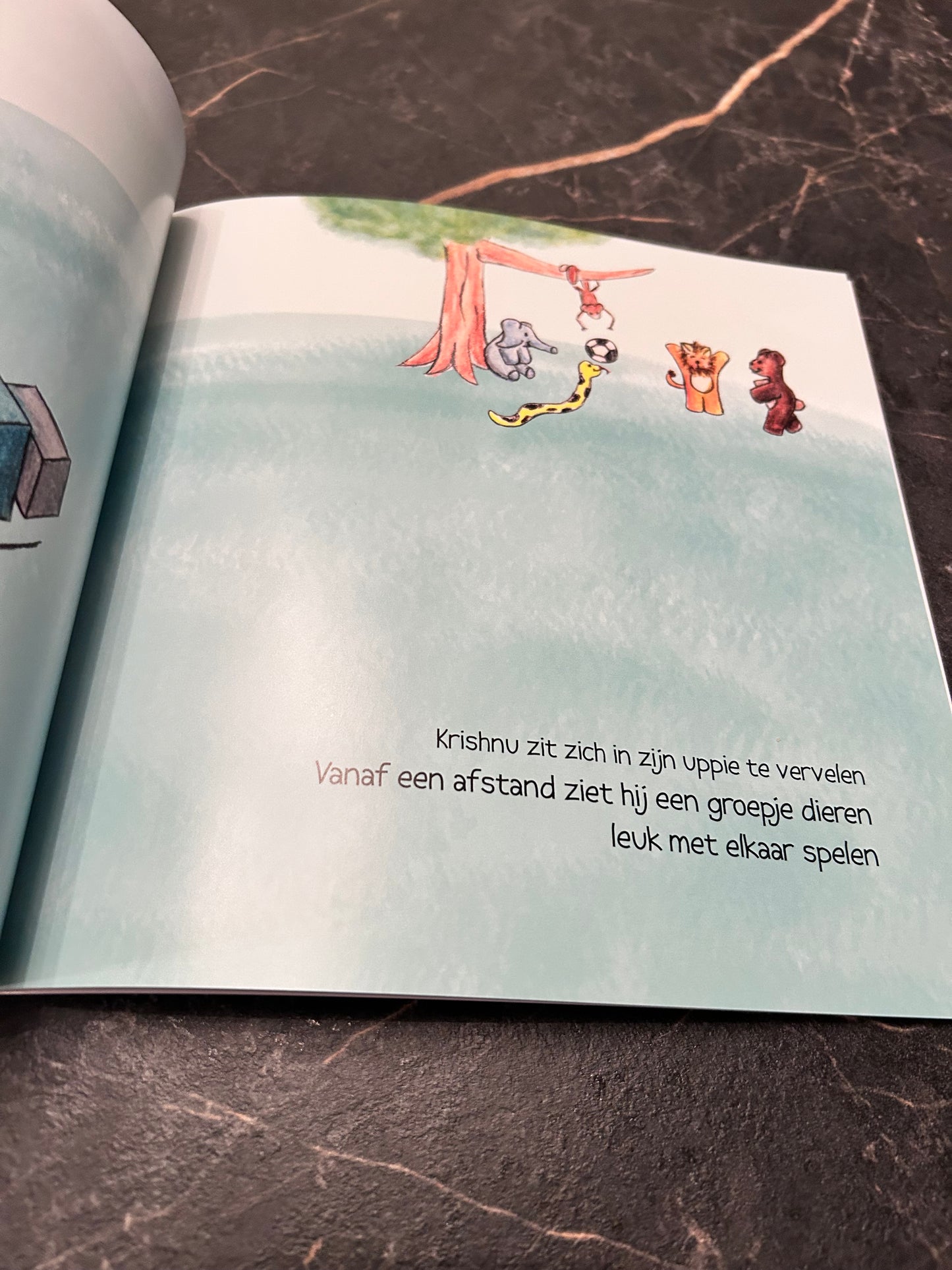 Holi | Het goede, dat het kwade overwint