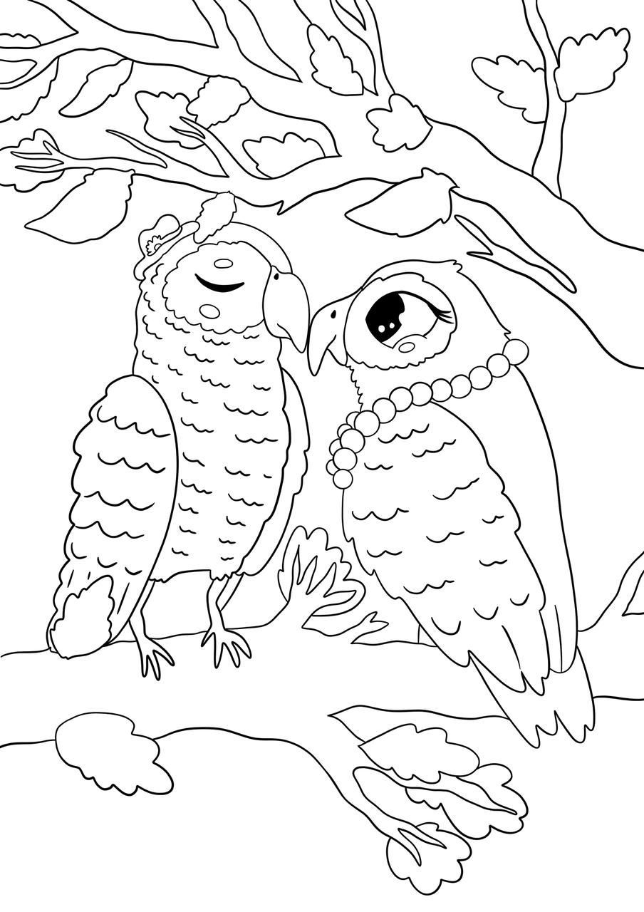 Sjaakie & Sheela | Kleurboek