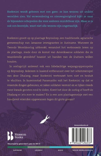 Schaduwtemmer